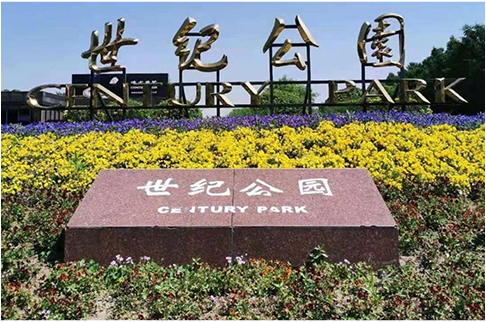 پارک Zhsu Project-Shanghai Century Park
